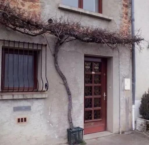 Le Sud De St Just D'avray Saint-Just-d'Avray